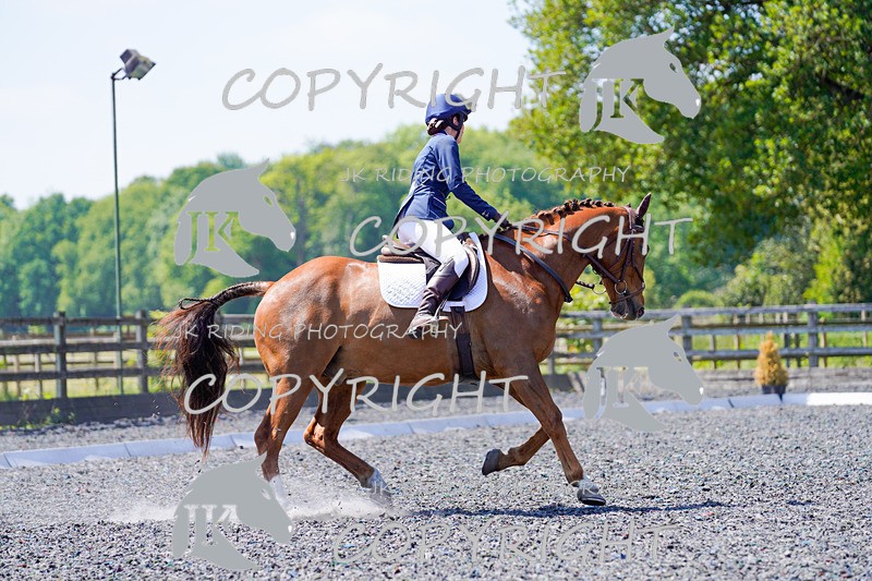 _DSC3706 - NOVICE 1