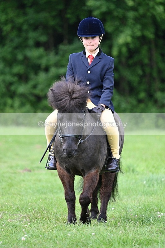 WJ7_1030 - Class 11 Condition & Turnout