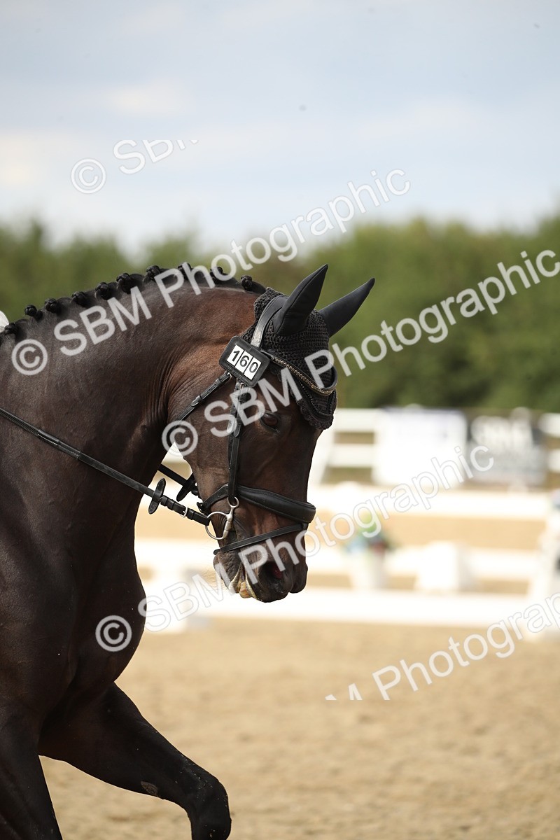 SBM_003421 - Class 6 - Elementary 5 - 16.10-16.43