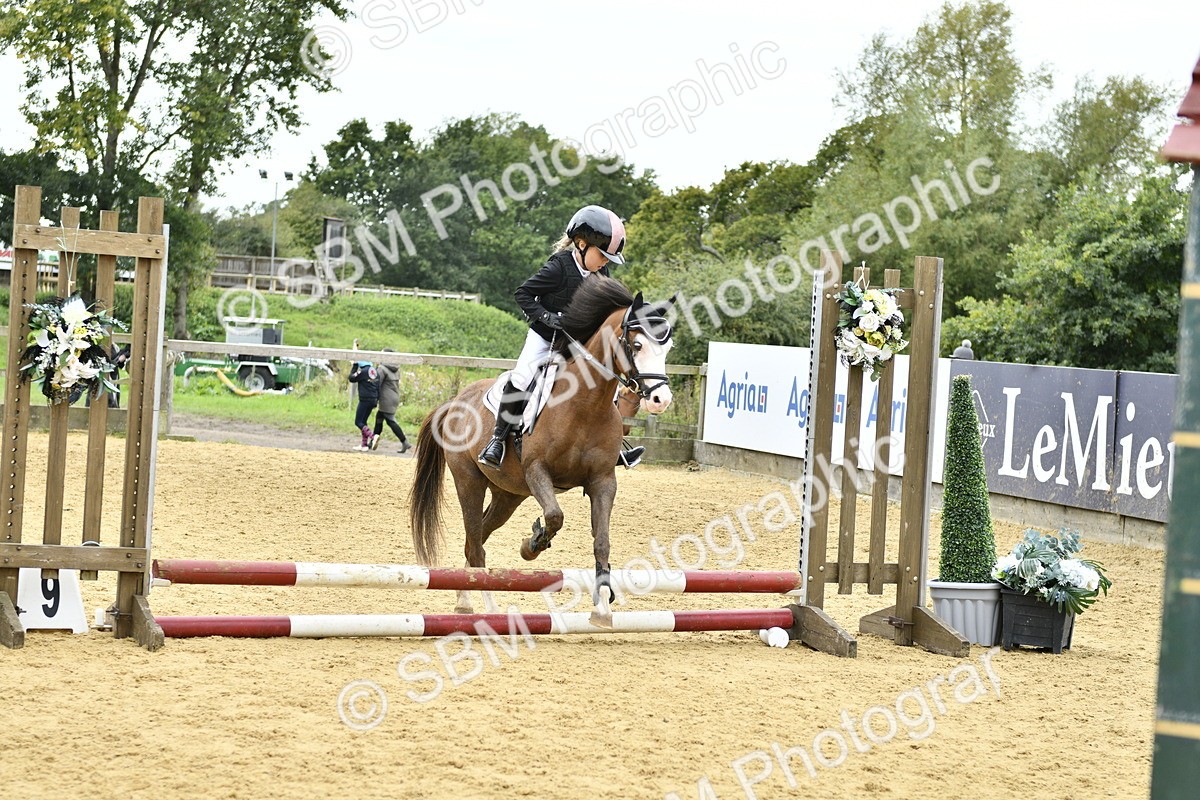 SBM_65551 - J2a mini Tour Junior Pony 30cm Championship