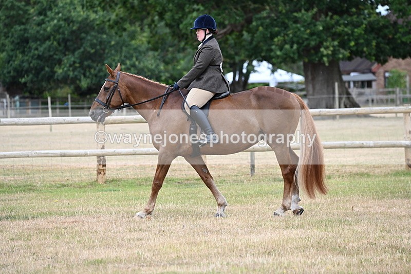 WJ6_3769 - Class 9 Tack & Turnout