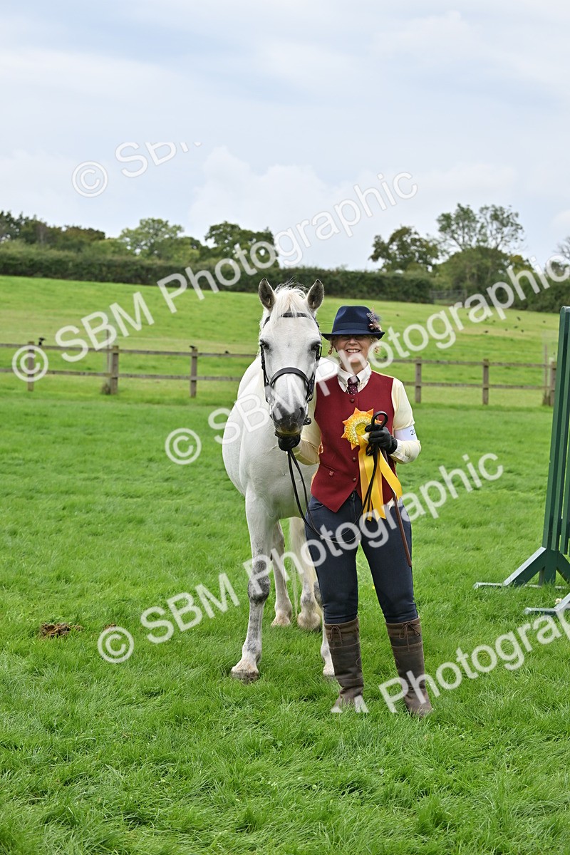 SBM_63335 - S49 - Mountain & Moorland In Hand Large Breeds