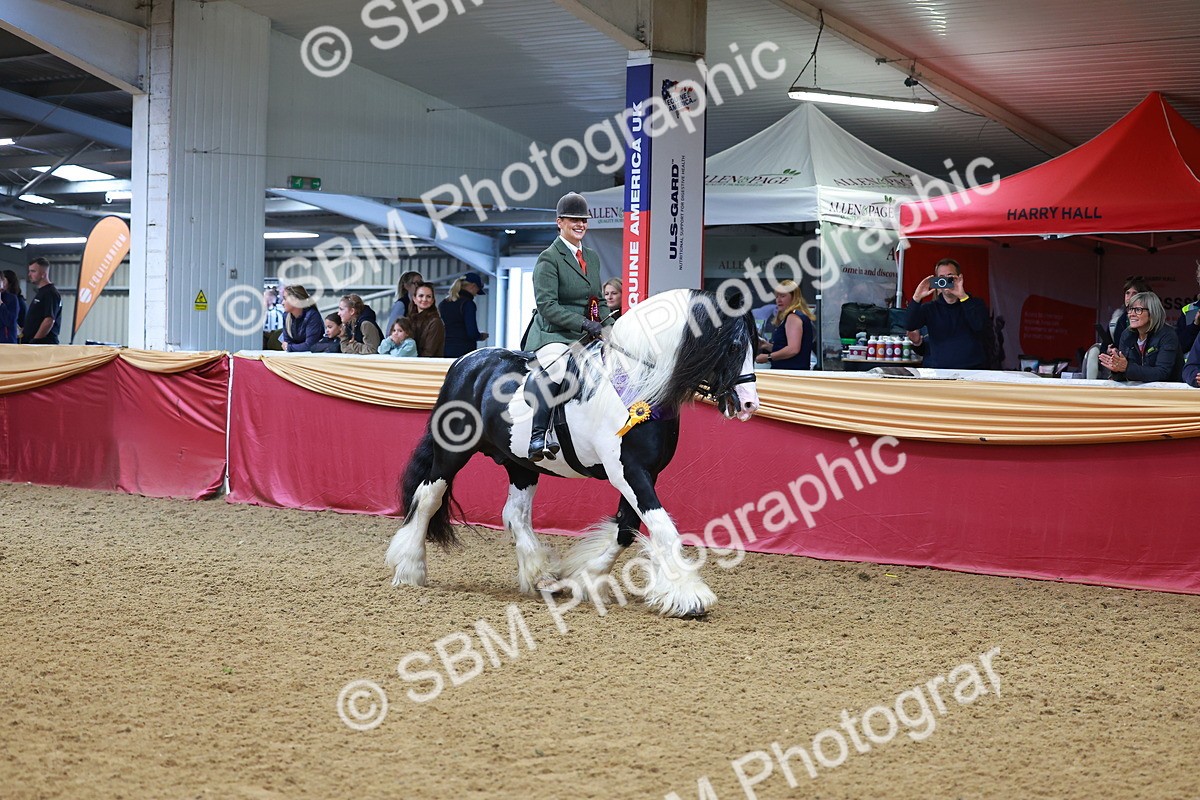 SBM_09878 - Class 102 - HOYS Veteran Qualifier - Ridden Veteran
