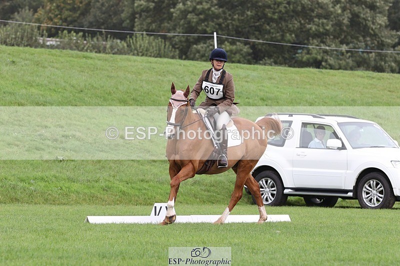 231019-105203-02467 - 607-RICO.III-Alison.Stewart-DR