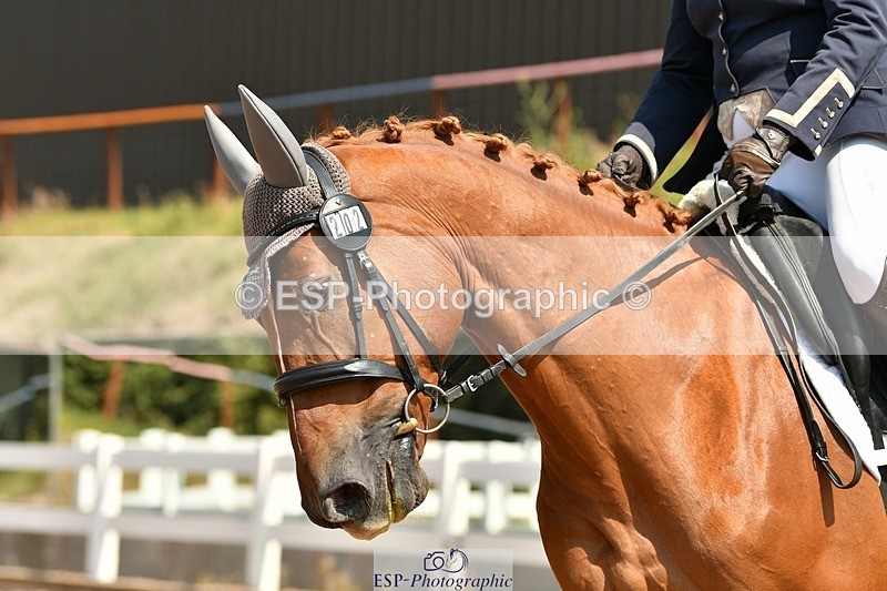 250817-125528-09769 - 202-Lisa.TorodeJe.Ne.Sais.Quoi