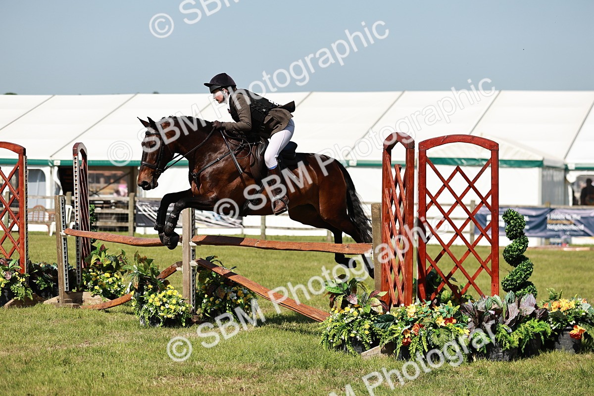 SBM_18424 - Class 112-113 - BSPS LIHS Working Sports Pony