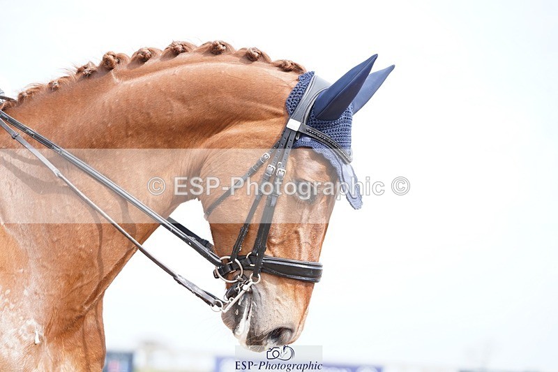 250403-143638-02967 - 001-Lewis.Carrier-Rubico