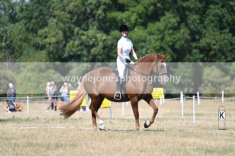 WJ7_0037 - Time 11:03 to 11:28