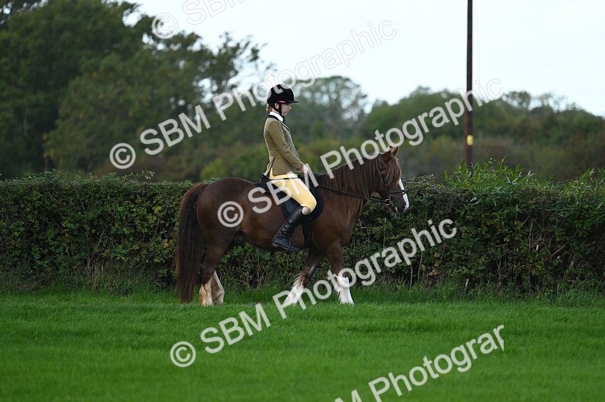 SBM_02542 - S3 - TSR Ridden Pony Showing
