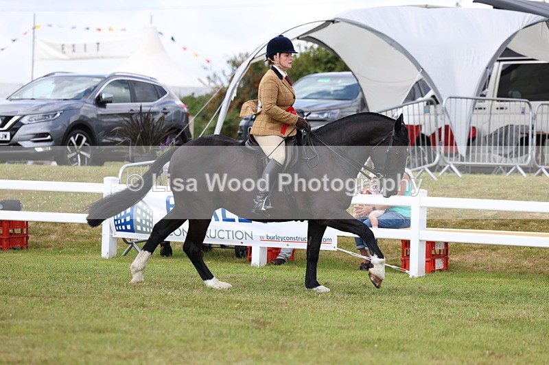 3E7A0517 - Rising Star Ridden Championship