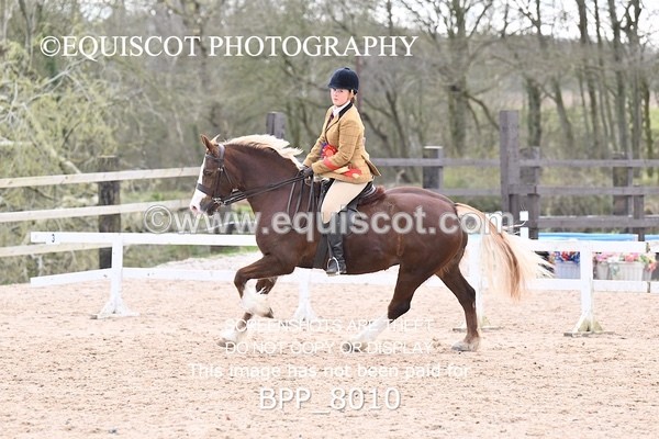 BPP_8010 - SUPREME CHAMPIONSHIP