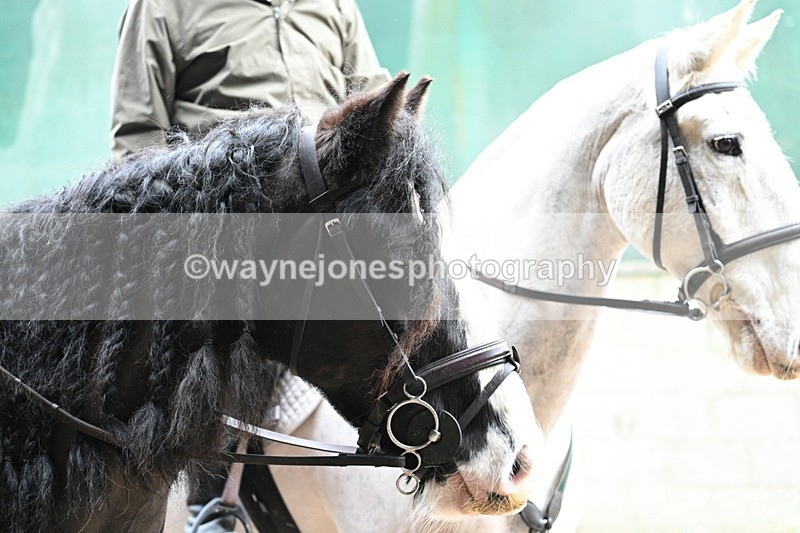 WJ7_8759 - Berks & Bucks - Rowles Farm 15-02-26