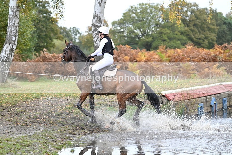 WJ7_2172 - 80cm Cam 2 Pairs Time 12:18 to 12:43