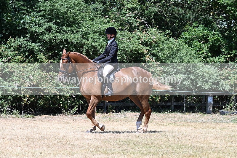 WJ7_2750 - Class 7 Riding Club Show Horse