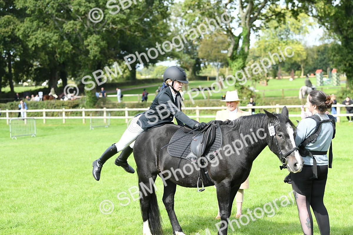SBM_46838 - S12 - Family Horse & Pony