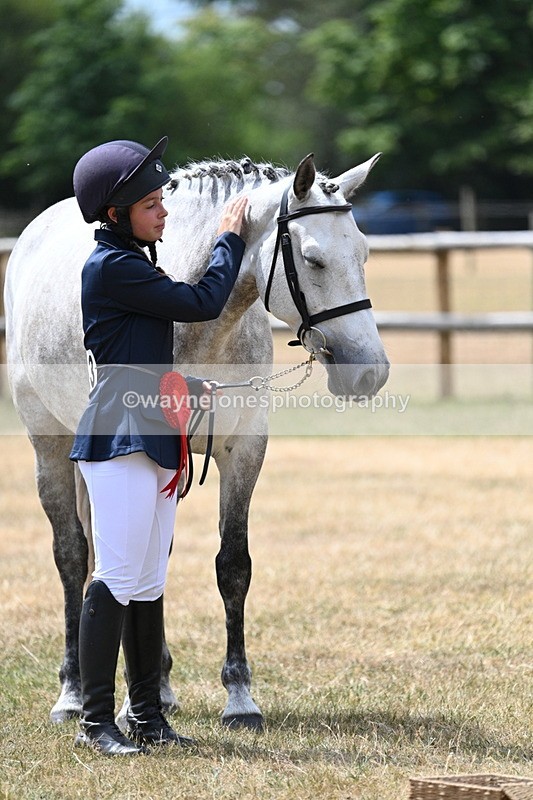 WJ7_2097 - Prettiest Mare Champs