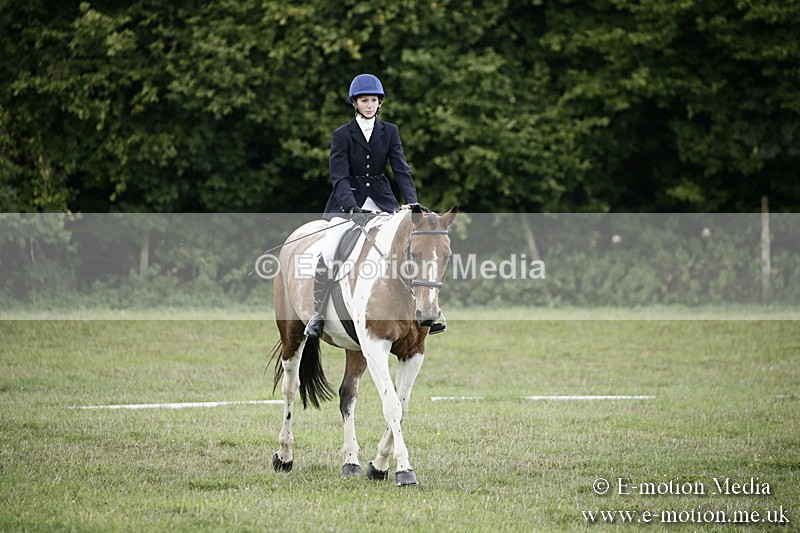 BVR090918 191 - BVRC Dressage and Show Jumping 09/09/18