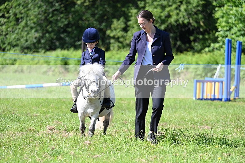 WJ7_0548 - Class 8 First Rally Pony