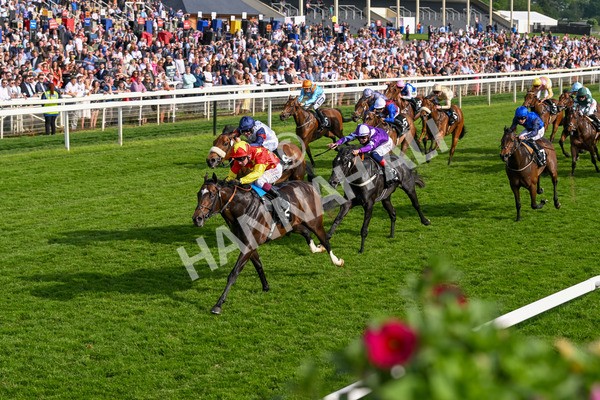 170524-Race 7-Jubilee Walk-8763 - Race 7 5.20pm Irish Thoroughbred Marketing Handicap