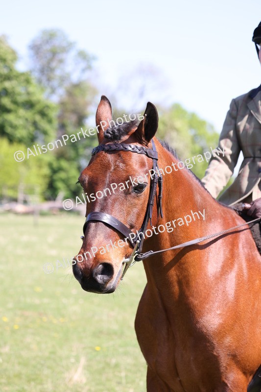 20250427-3267 - Class 33 - Best Pony 14.2hh and Under