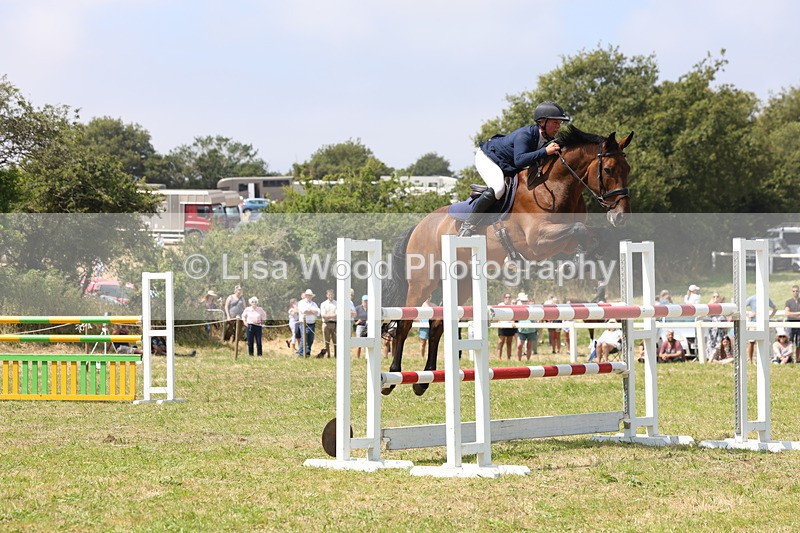 3E7A3404 - Class 10: Senior Foxhunter/1.20 open