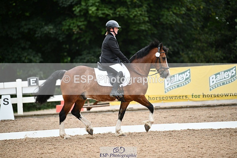 250705-092948-00023 - BRCP1 Sections BRCP1SNR, BRCP1JNR 09-30 to 10-40