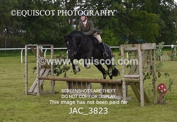 JAC_3823 - 65cm WORKING HUNTER
