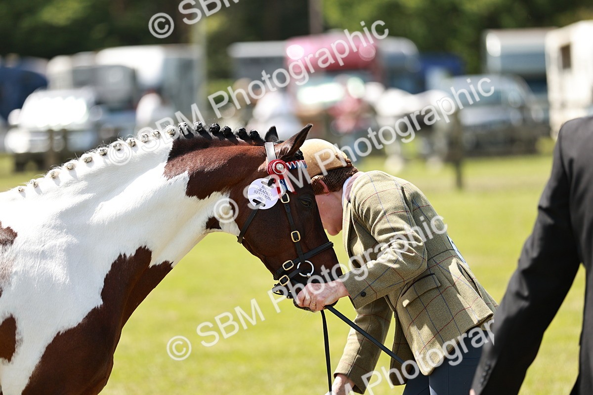 SBM_05450 - Class 39-40 - BSPA Coloured In Hand