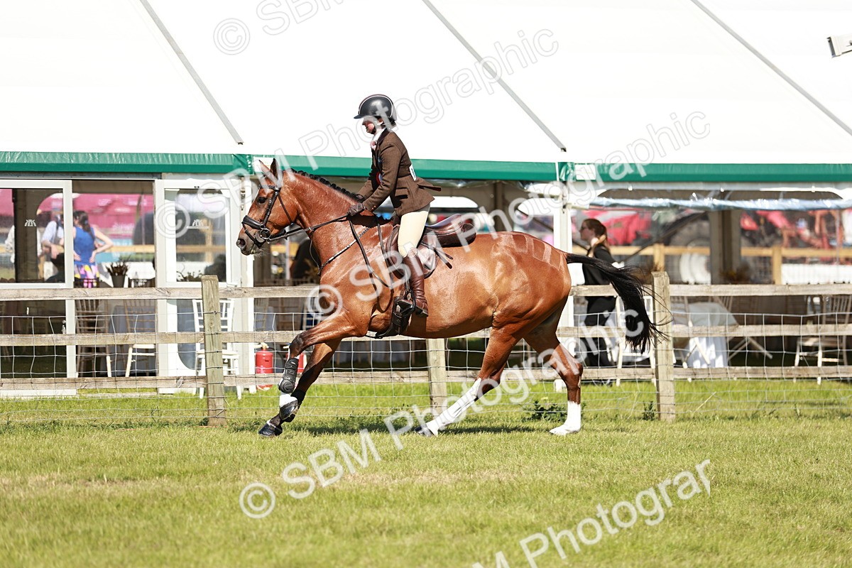 SBM_18539 - Class 112-113 - BSPS LIHS Working Sports Pony