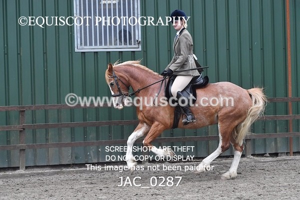 JAC_0287 - CLASS 4 BSPS Scone Palace HT Training Stakes Series (0.60m