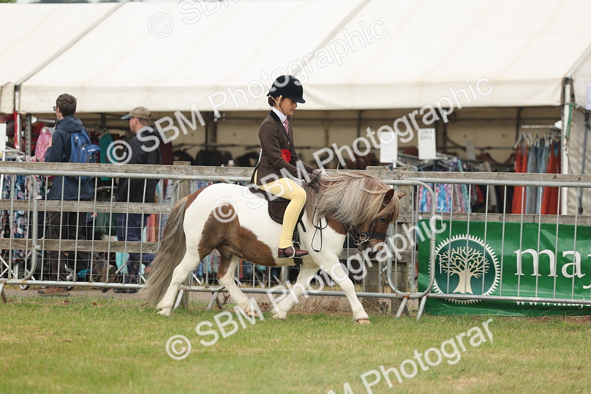 SBM_09105 - Class 78-80 - Ridden M&M Non Welsh Ponies