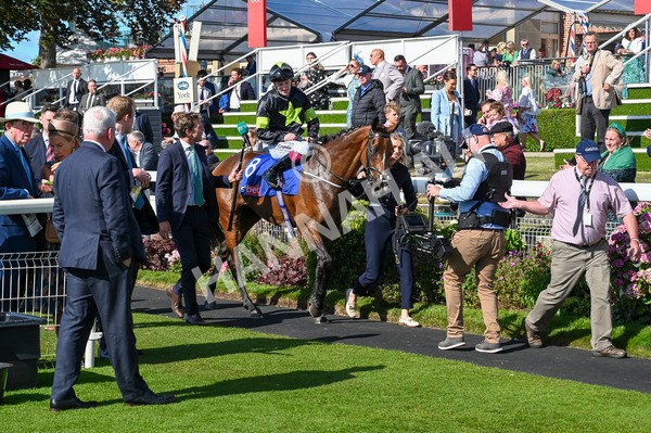 240824-Race 4-Magical Zoe-1111 - Race 4 3.35pm Sky Bet Ebor Handicap