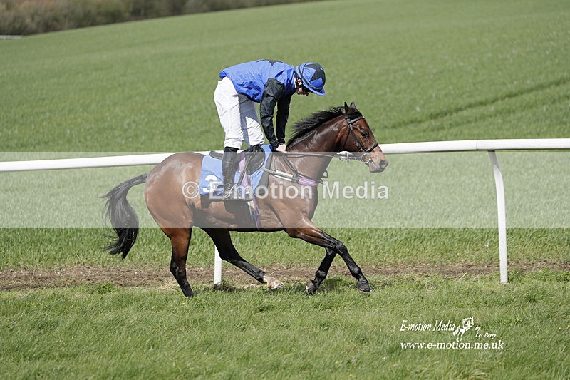 PtP PR 100423 231 - Pony Racing Lockinge 100423