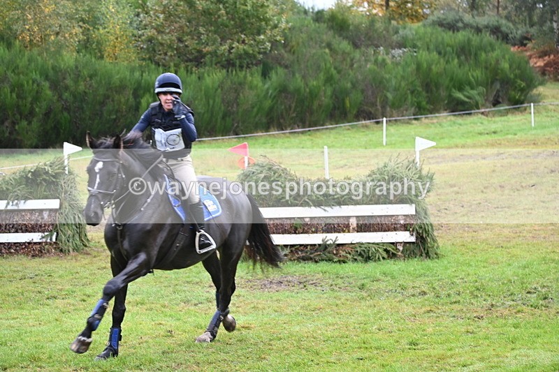 WJ6_1802 - 80cm Cam 1 Time 10:08 to 10:45