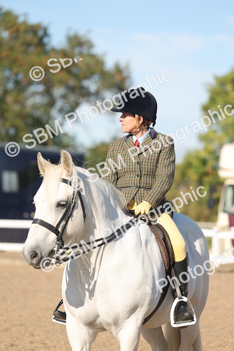 SBM_11077 - Class 302 - Ridden M&M Large Breeds