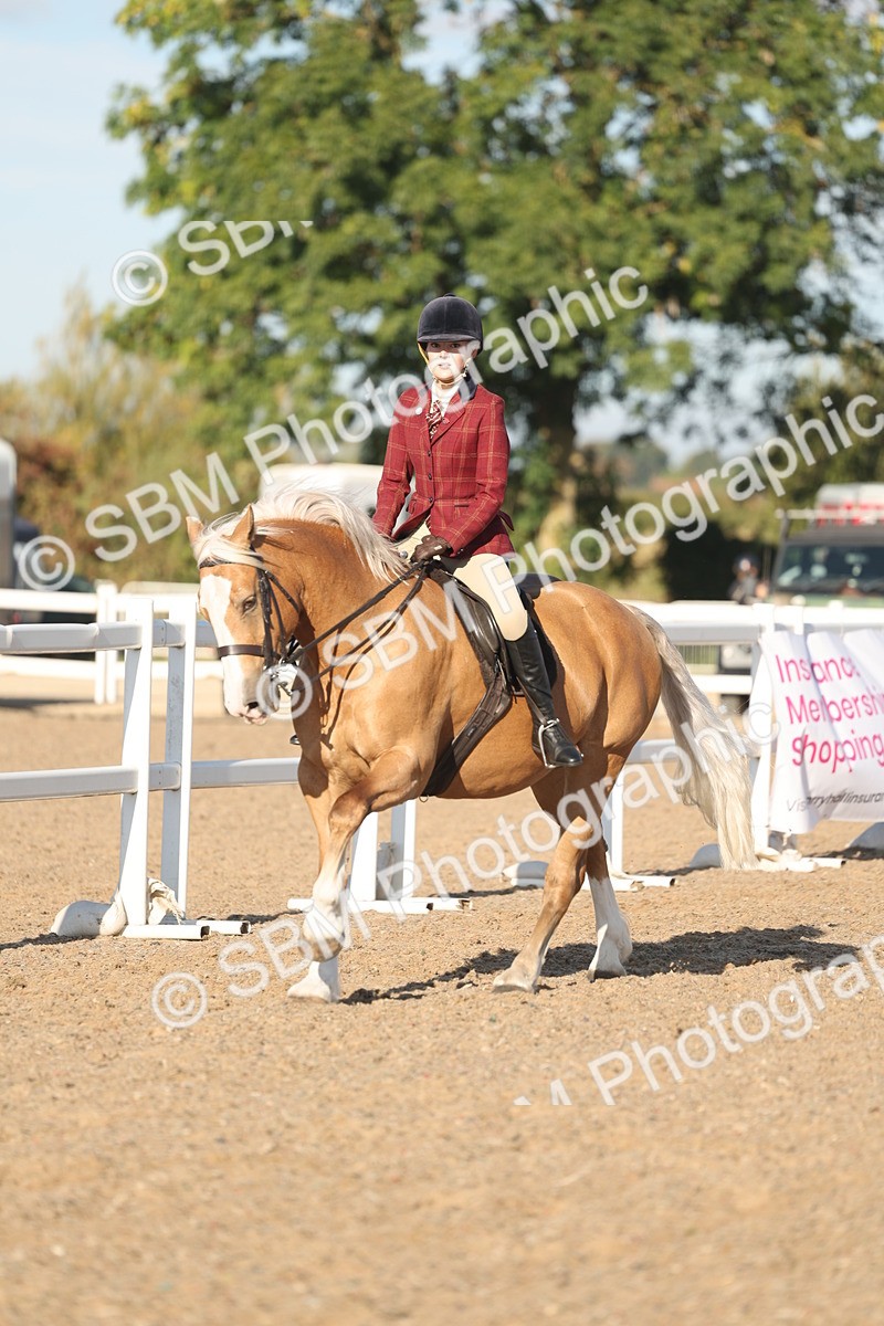 SBM_11038 - Class 302 - Ridden M&M Large Breeds