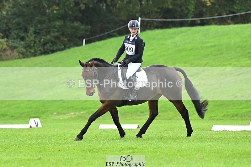 241024-114620-03317 - 509-Tichy.Sanders-SPARHANGER.VELVET