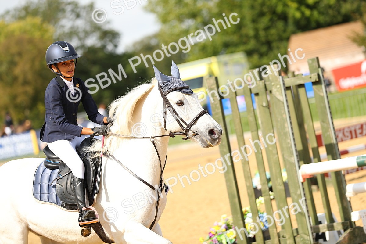 SBM_66084 - J17 - Junior Pony 80cm Championship