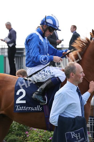 yr18082021r2-9 - Race 2 2.25pm Tattersalls Acomb Stakes