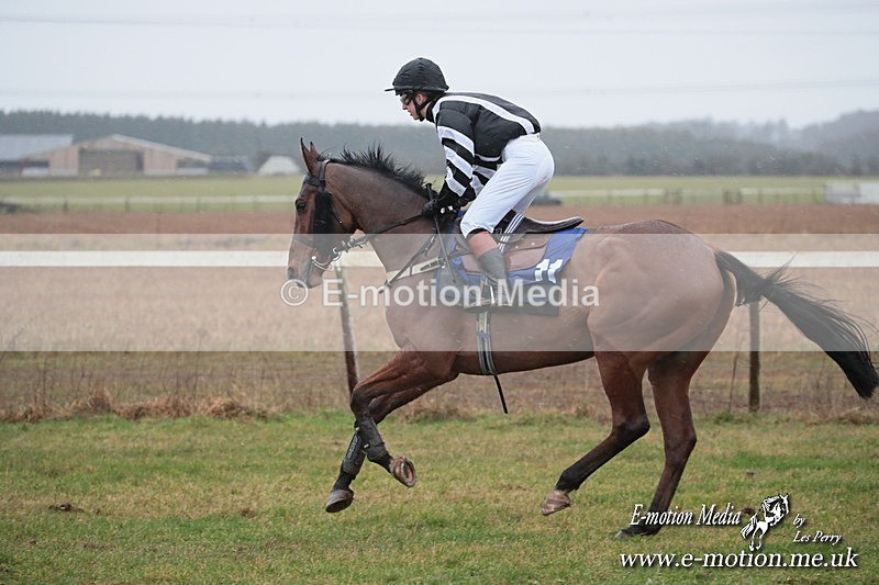 PtP 260125 223 - Cocklebarrow Point-to-Point racing with the Heythrop Hunt 26/01/25