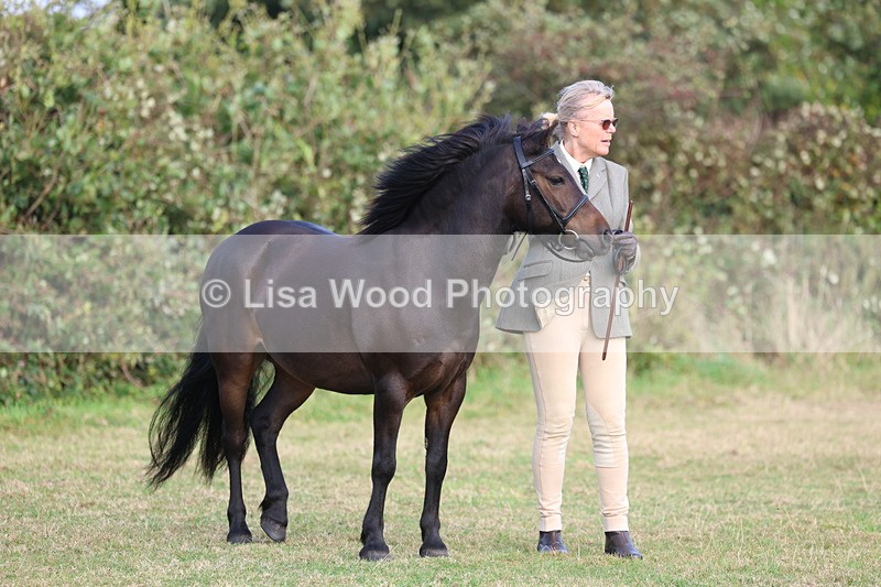 3E7A3244 - Class 12: M & M Small Breeds