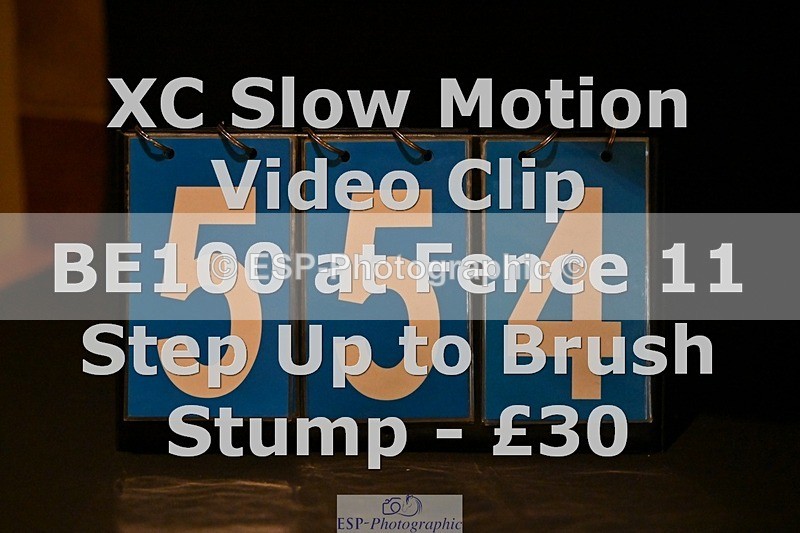 ESP_554 - 554-Aimee.Bickley-LA.BASS