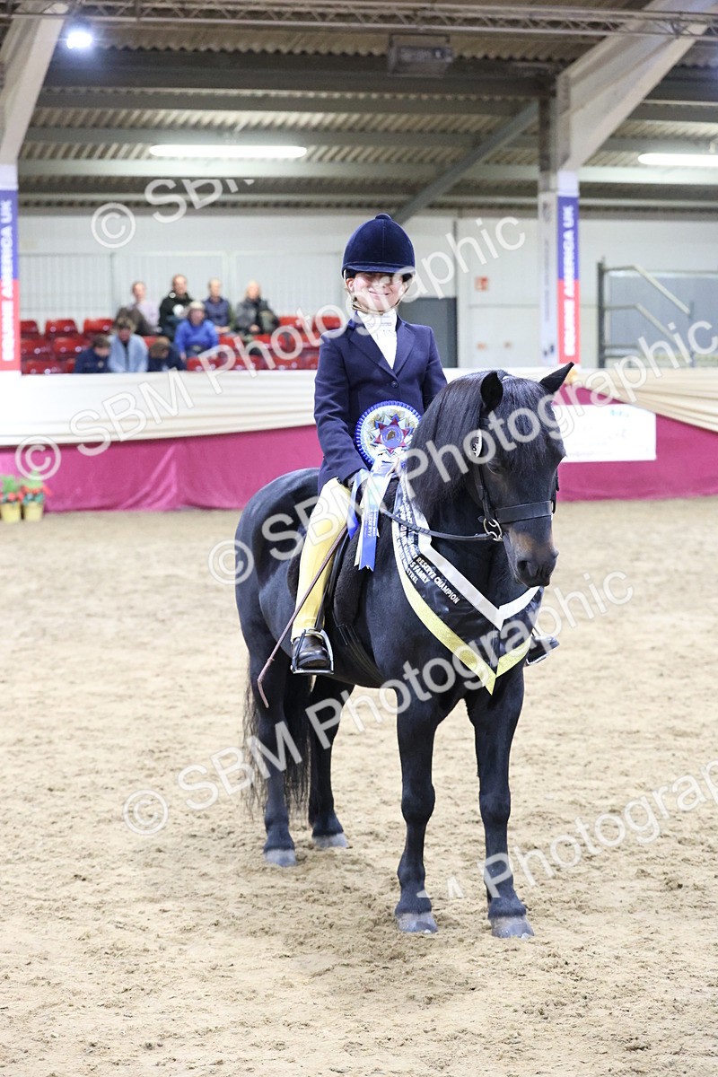 SBM_20615 - Class H - IH Competition - Riding Club champ