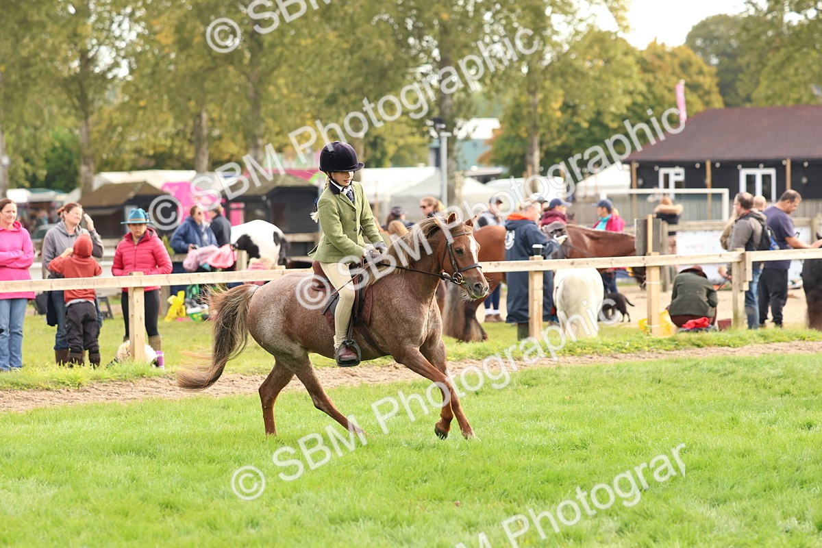 SBM_56680 - S40 - Starters Ridden Showing