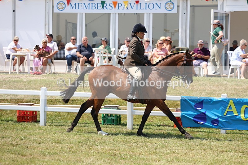 3E7A9310 - Class 12: Open Racehorse to Show Horse