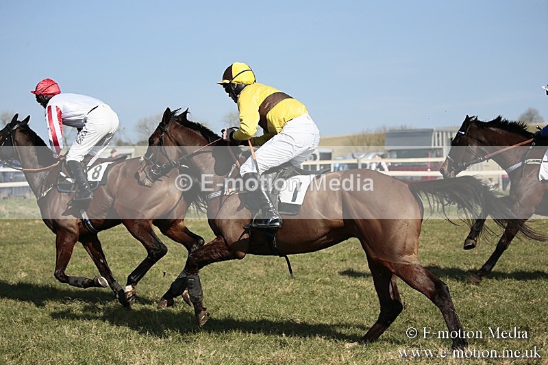 PtP 240218 153 - Vine & Craven Hunt Point-to-Point Barbury racecourse 24/02/18