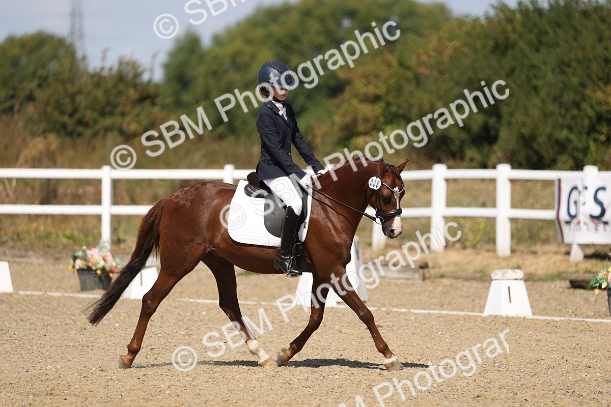 SBM_013709 - Class 1 - P5 Bronze 10.38.12.02