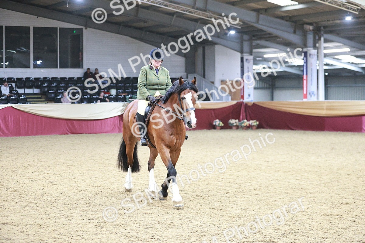 SBM_08941 - Class 12R - Regional Ridden Pre-Vet