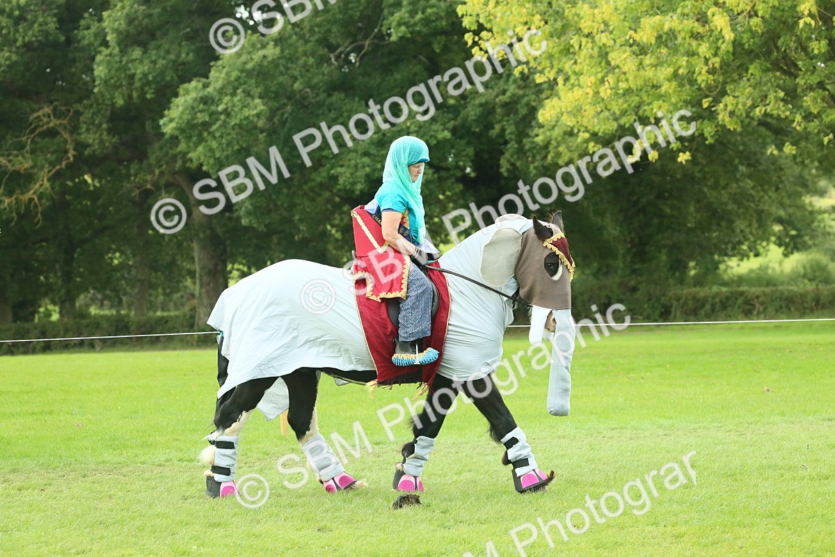 SBM_63687 - S35 - Fancy Dress Showing