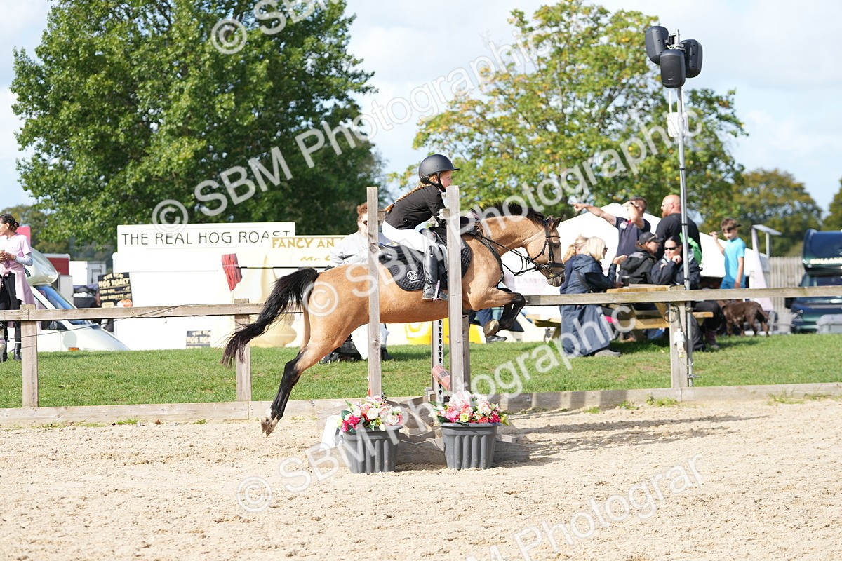 SBM_17785 - J58 - Clear Round 50cm